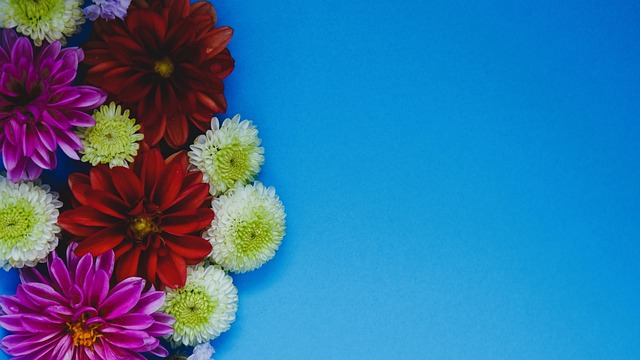 為比賽增加 為比賽增加