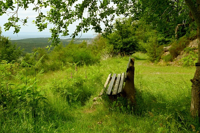 级体育赛事 级体育赛事