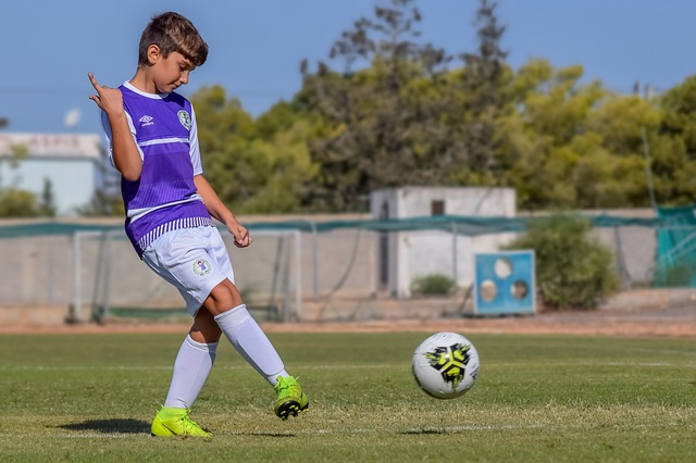 入了一场舆 入了一场舆