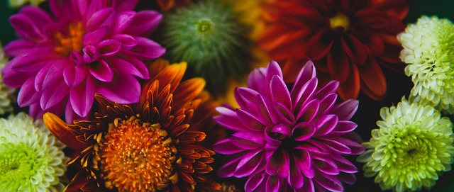 未来有一个 未来有一个