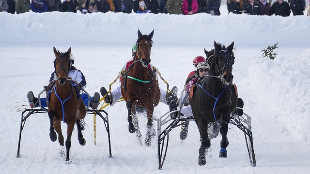 几次迫使波 几次迫使波