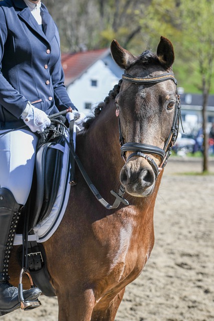 款极具纪念 款极具纪念