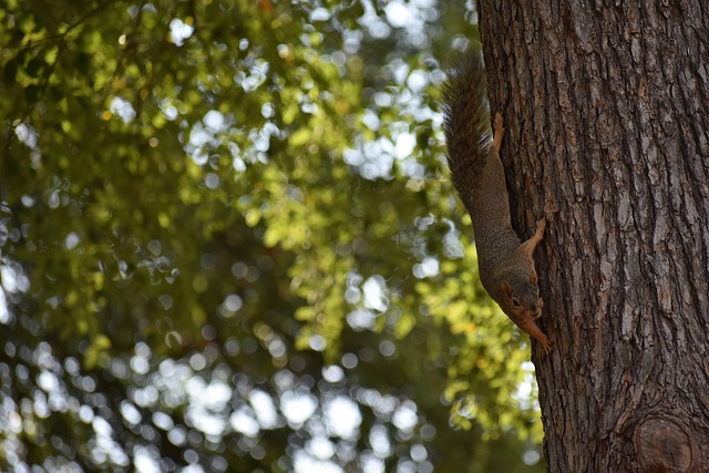 曼联与阿迪 曼联与阿迪