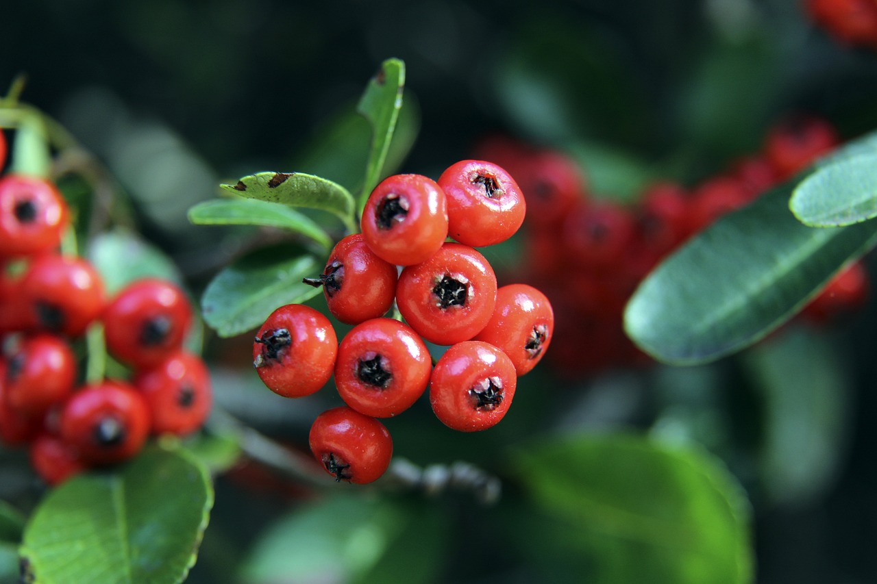 但这不妨碍 但这不妨碍