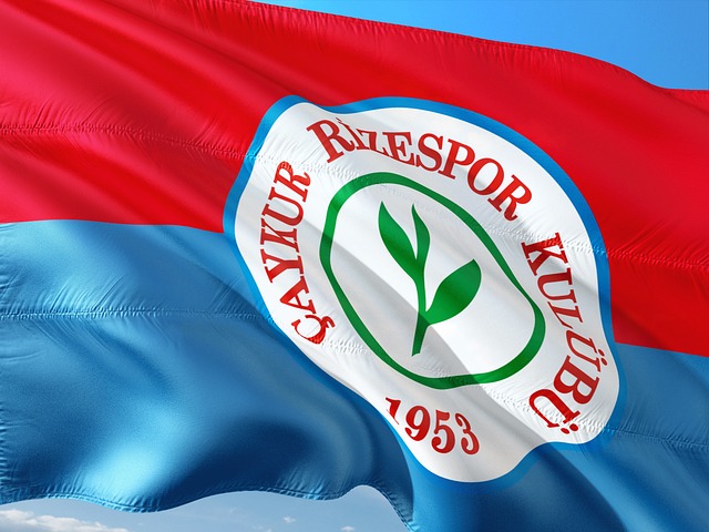 竞争日益激 竞争日益激