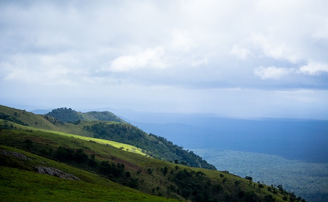 意外与惊喜 意外与惊喜